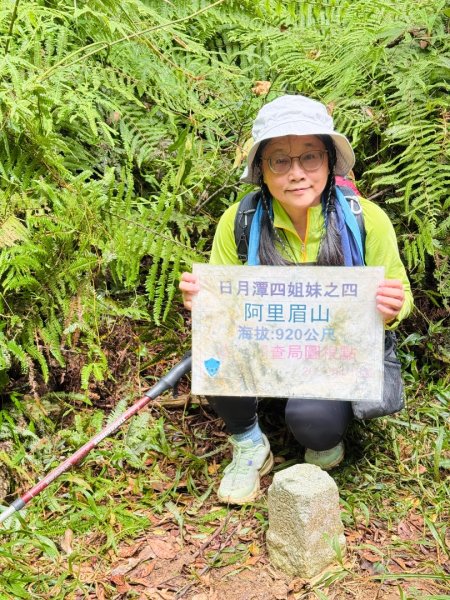阿里眉山+大舌滿山（路跡不明/未竟 ）2864624