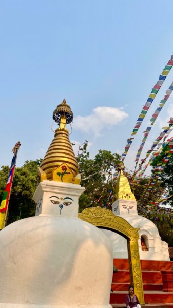 尼泊爾波卡拉-加德滿都寺廟自由行2499858