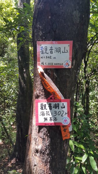 觀音湖山_東勢坑山_東勢大崙1817253