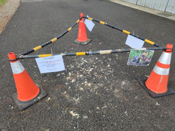 2025.07.20－霄裡好風光：大湳森林公園&亮亮健康樂園2841515