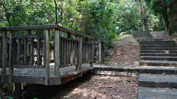 20200414七星嶺步道 星嶺公園1495658