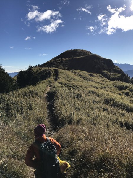 雪山 不下雪532996