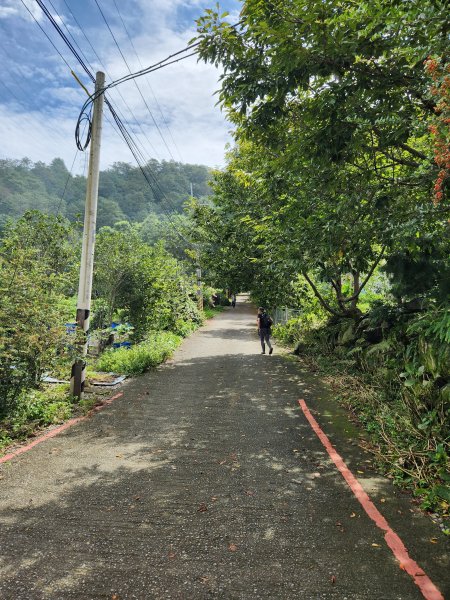 20230819 谷關七雄初登板-二哥馬崙山，白冷冰棒2255594