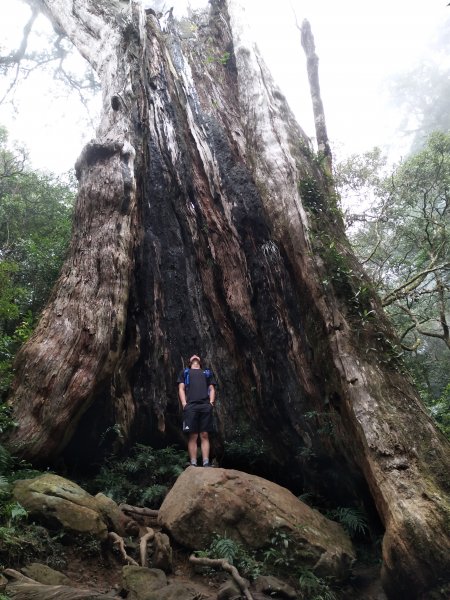 北得拉曼步道內鳥嘴山O行縱走1497755