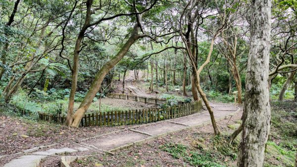 楊梅保甲古道,福人登山步道2695959