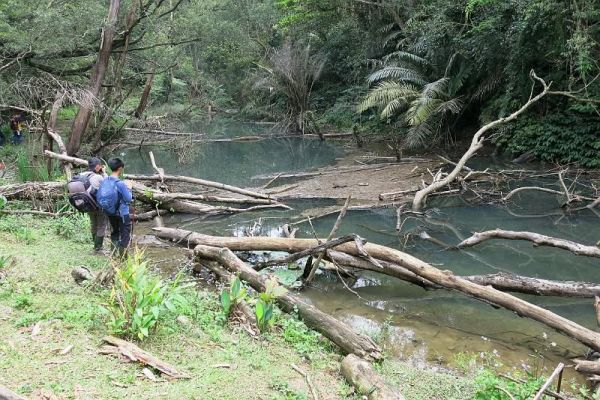 【桃園】打鐵寮古道連走白石山