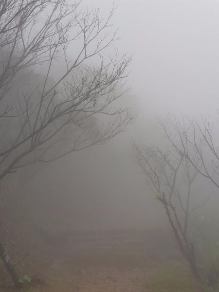 迷霧中的貂山古道202260