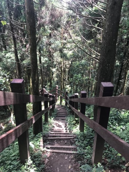 新竹五指山599755