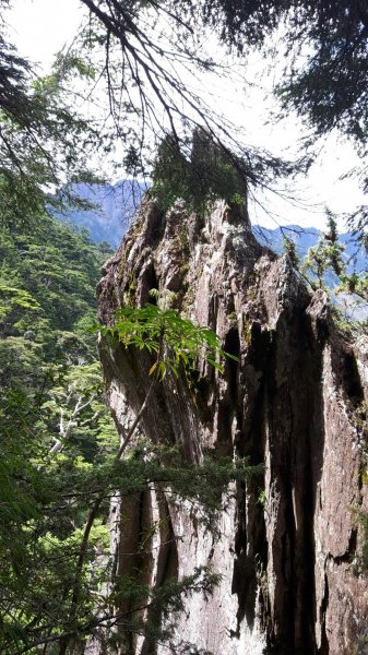 十峻之首~玉山東峰行625578