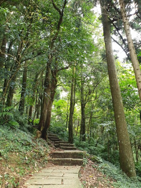 小百岳NO.22-東眼山自導式步道1024251