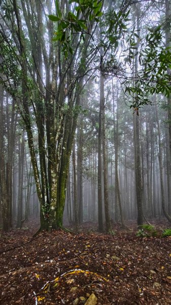 112.04.08 油羅山2123580