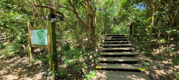 柴山登山步道1454359