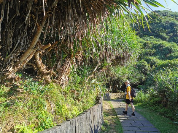 鼻頭角步道-登高眺望壯闊海岸、燈塔與稜谷1033701