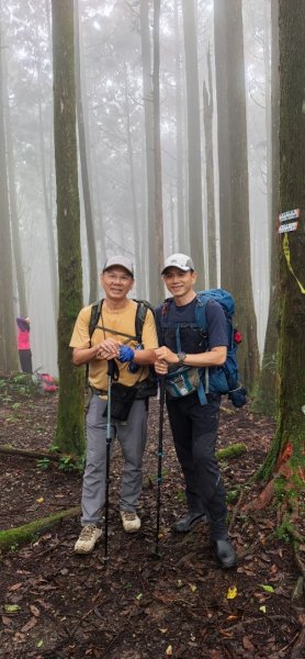 縱走大鳥鵝2828385