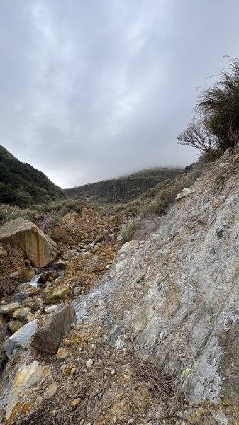 漫遊陽明山2951924