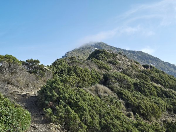 終於看到1000元背面的山景登頂玉山北峰／前峰2495885