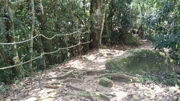 20251004 馬那邦山 - 珠湖 登山口2904923