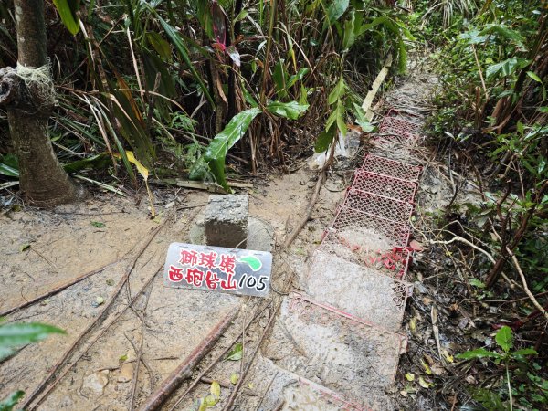 2026_0131 獅球嶺西砲台2997811