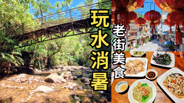 新北坪林一日遊｜金瓜寮魚蕨步道玩水，與魚共游，再逛坪林老街