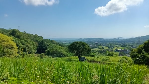 金山區大路崁古道-土地公步道-兩湖保甲路-水圳路3121308