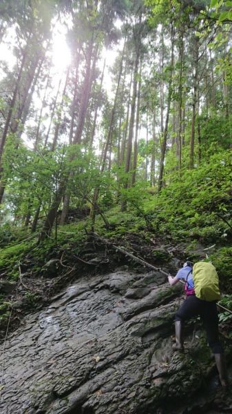 光天高山、向天湖山、三角湖山O型縱走359710