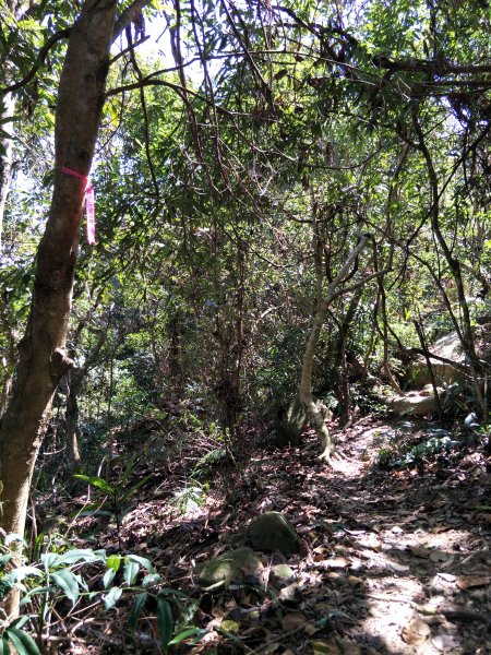 小百岳：大橫屏山1281394