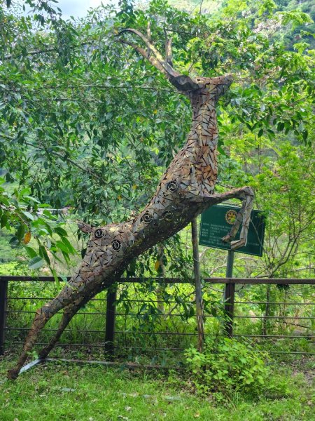 達娜伊谷-里美避難步道-巨石板步道-約富霓2788586