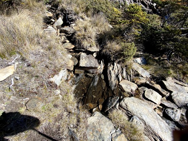 玉山後四峰-不同角度看玉山、圓峰雲海964370