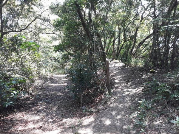 彰化芬園挑水古道碧山古道20190630620226