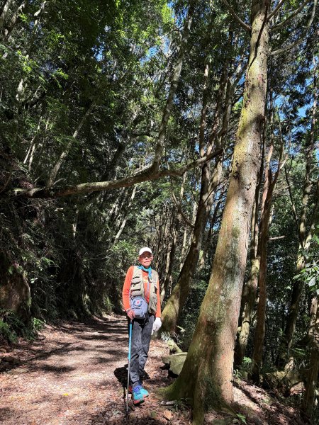 橫嶺山走走避暑趣 2025.6.112815433