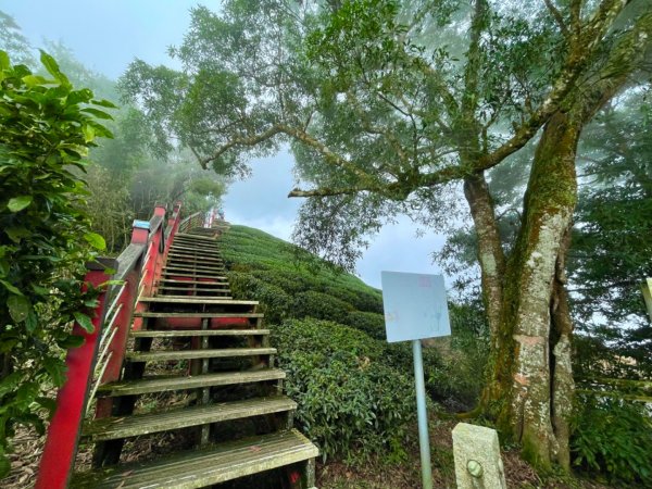 雲霧遊樂園：空氣圖書館走馬鞍山1560474