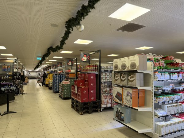 [紐約馬之行-38] 2025_1106 夜晚的伊盧利薩特2948252