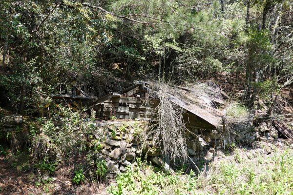 用雙腳看台灣-大南三段-六順山~七彩湖580533