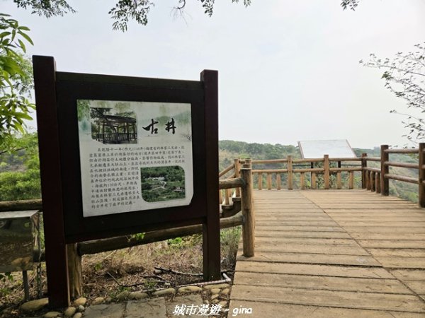 【台中龍井/大肚】竹坑南寮登山步道x瑞井登山步道O繞3031270