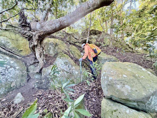 苗栗冷門山--蕃婆石山5基石連登   2026.01.112981371