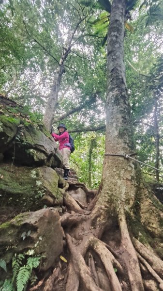 五指山走春3009591