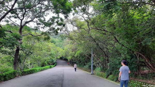 《台中》牛罵頭遺址｜清水鰲峰山公園步道202307232229942