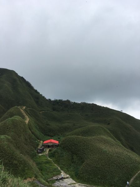 聖母山莊歩道 106.07.10(一)151562