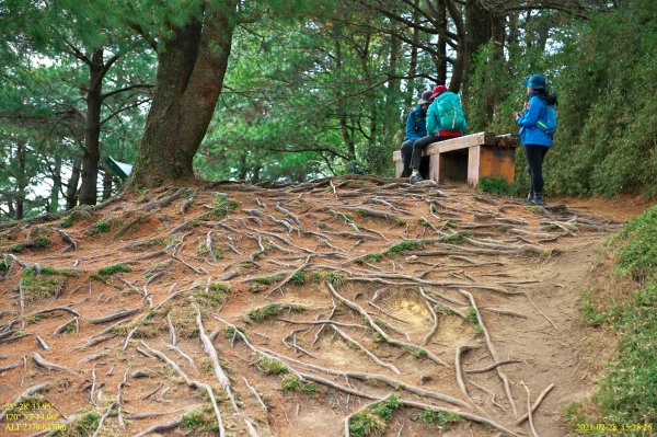 玉山前峰連走麟趾山1294495