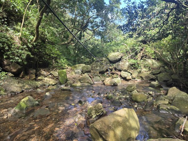 20260831竿尾崙古道-大屯溪古道O型3114819