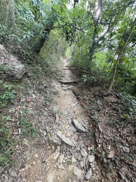 20251109棚集山步道2935234