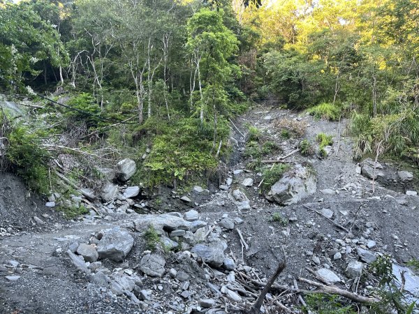 [玉山尋寶任務-03/12] 2025_0810 瓦拉米步道2857364