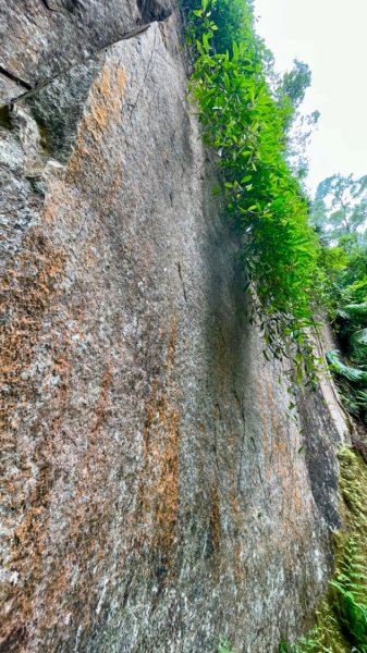 烏月山群峰--向天湖古道2515287