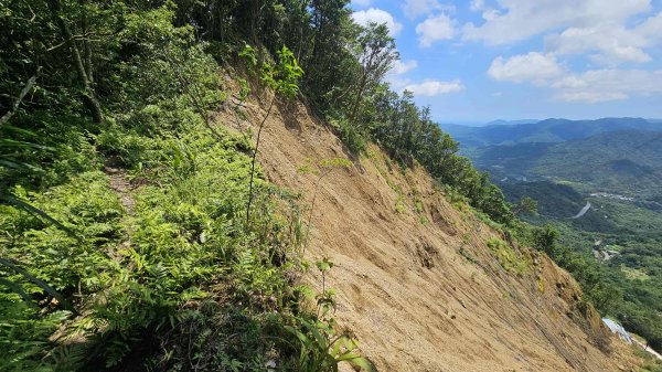 20260507磐山坑山-土地公山-474峰-上下內平林山-大坑山下灣穹3051466