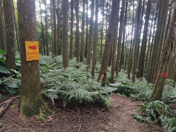 向天湖山11501252988127