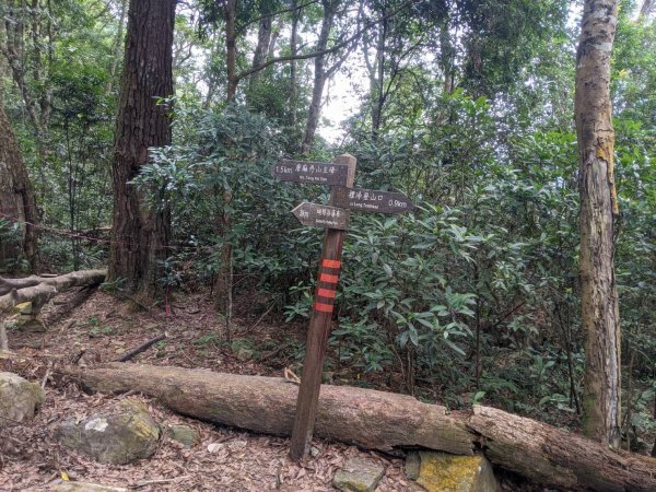 唐麻丹山一日遊3022025