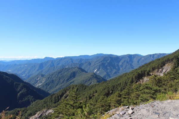 20220711一日雙星關山嶺山-塔關山1766662