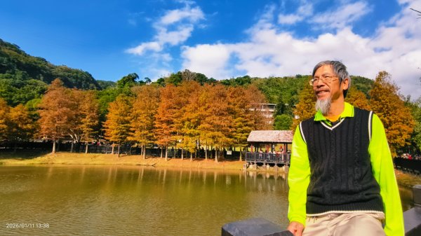 #花卉試驗中心 #永公路500巷 #平菁街42巷 #原住民公園 #士林官邸 1/42980353