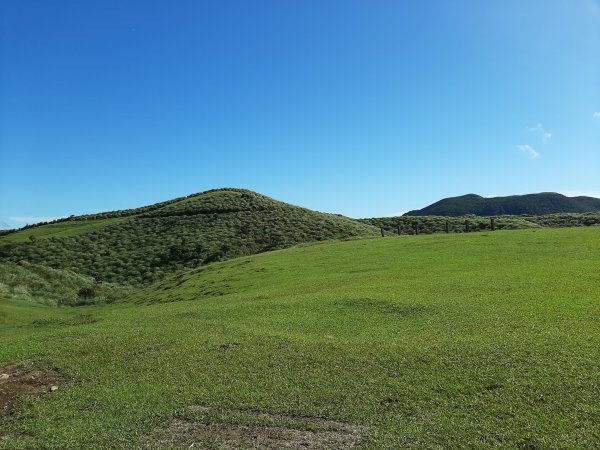 臺北大縱走3：擎天崗、頂山石梯嶺步道669785