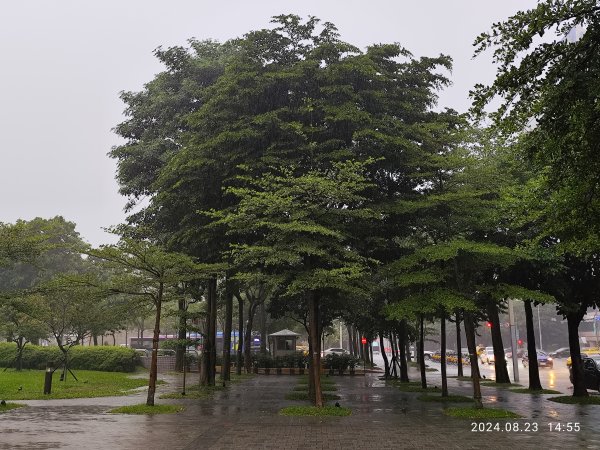 大安森林公園、臺北市政府、市府轉運站、宏匯瑞光廣場、大港墘公園《挑戰！台北捷運集章全制霸》2580199